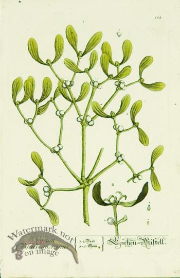 Blackwell German 131